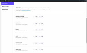 Image Sizes in Somentra Multipurpose WP theme