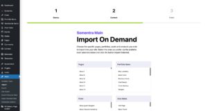 Import on Demand - Somentra Options