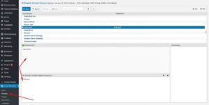 Loco Translate translations in Somentra
