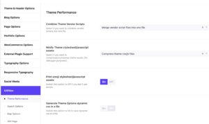 Theme Performance options in Somentra