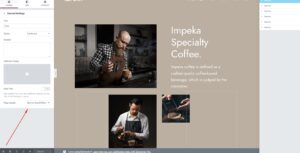 Skin on Scroll Effect template in Elementor - Somentra