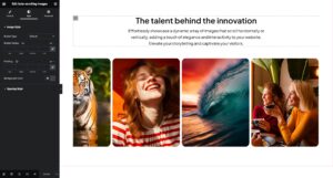 Style Options in the Auto-scrolling Images widget - GW Elementor Addons by Greatives
